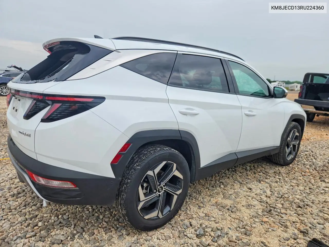 Auction sale of the 2024 Hyundai Tucson , vin: KM8JECD13RU224360, lot number: 55228516